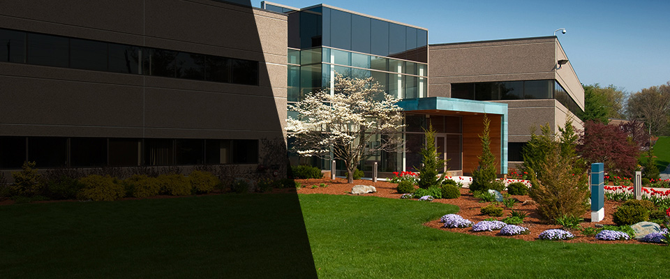 Steilacoom Landscapers