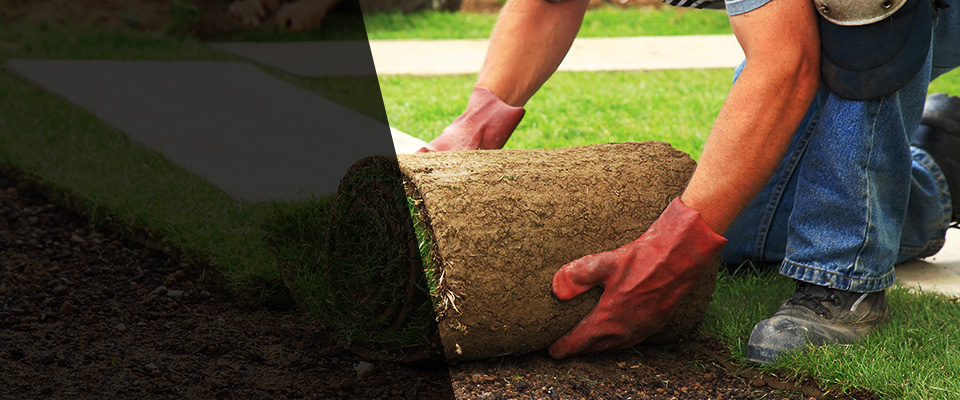Steilacoom Landscapers